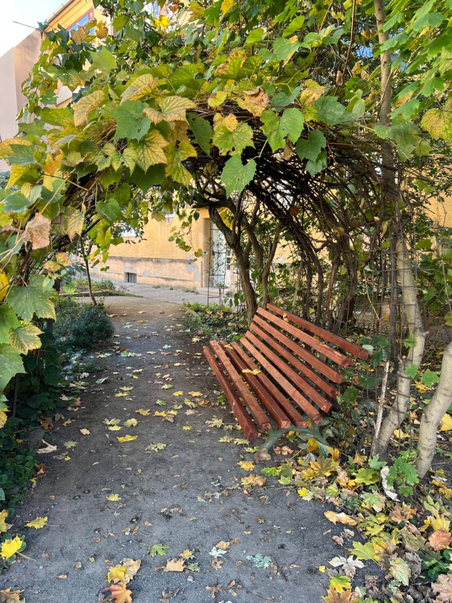 Studio Anca-Old Town Sibiu Exteriör bild